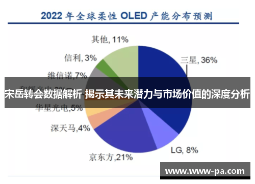 宋岳转会数据解析 揭示其未来潜力与市场价值的深度分析