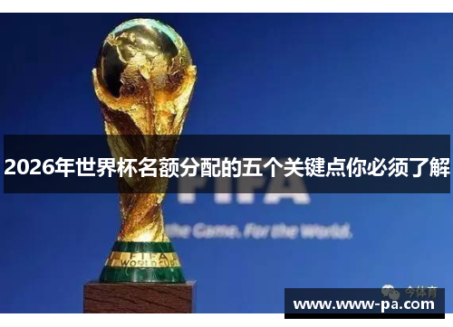 2026年世界杯名额分配的五个关键点你必须了解