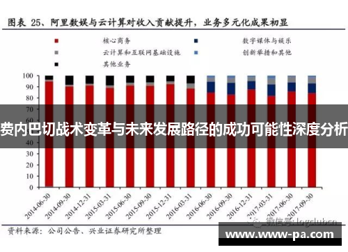 费内巴切战术变革与未来发展路径的成功可能性深度分析