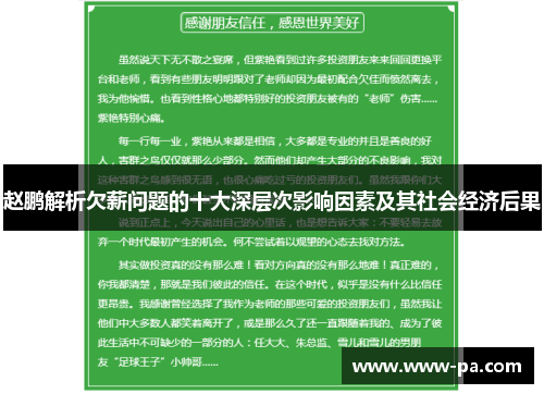 赵鹏解析欠薪问题的十大深层次影响因素及其社会经济后果