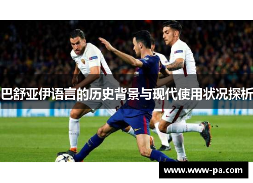 巴舒亚伊语言的历史背景与现代使用状况探析