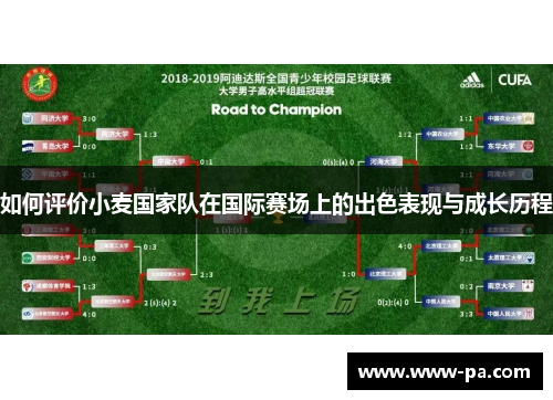 如何评价小麦国家队在国际赛场上的出色表现与成长历程