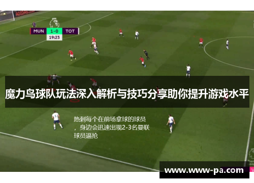 魔力鸟球队玩法深入解析与技巧分享助你提升游戏水平