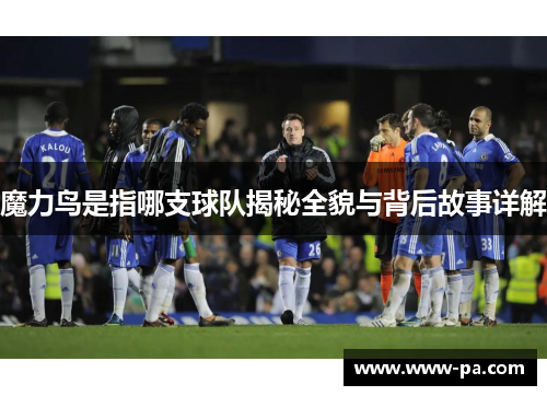 魔力鸟是指哪支球队揭秘全貌与背后故事详解