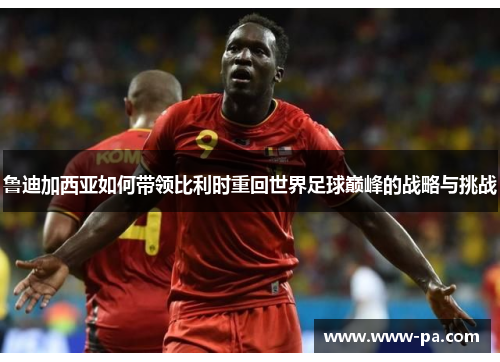 鲁迪加西亚如何带领比利时重回世界足球巅峰的战略与挑战