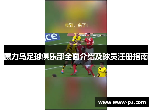 魔力鸟足球俱乐部全面介绍及球员注册指南