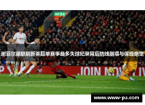 谢菲尔德联刷新英超单赛季最多失球纪录背后防线崩塌与保级绝望 谢菲尔德联刷新英超单赛季最多失球纪录背后防线崩塌与保级绝望